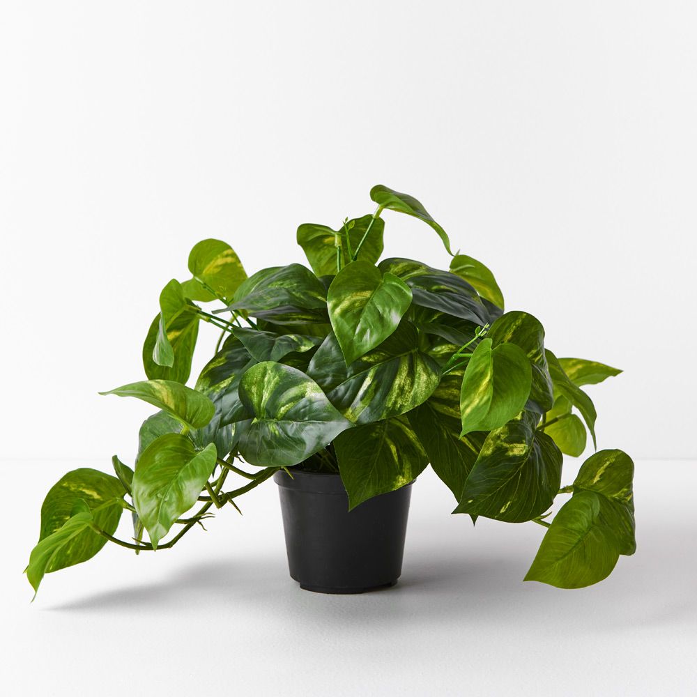 Artificial pothos hanging bush in pot 30cm