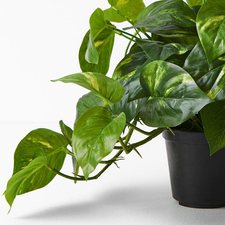 Artificial pothos hanging bush in pot 30cm – view 2