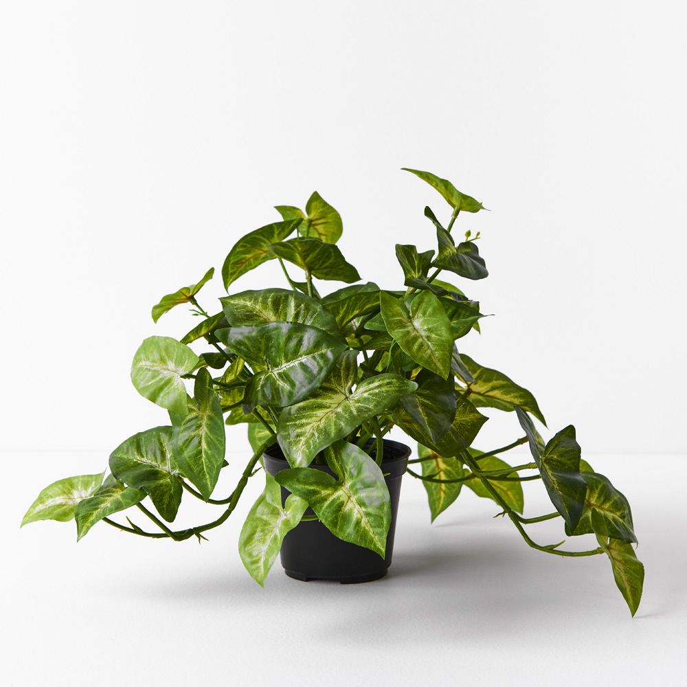 Artificial syngonium hanging bush in pot 30cm