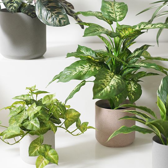 Artificial syngonium hanging bush in pot 30cm – view 3