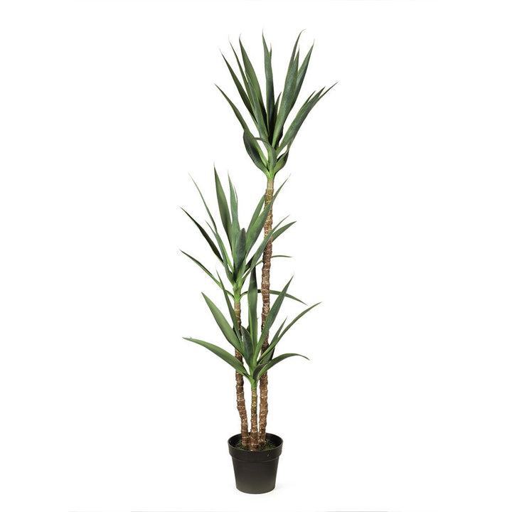 Artificial yucca plant 155cm