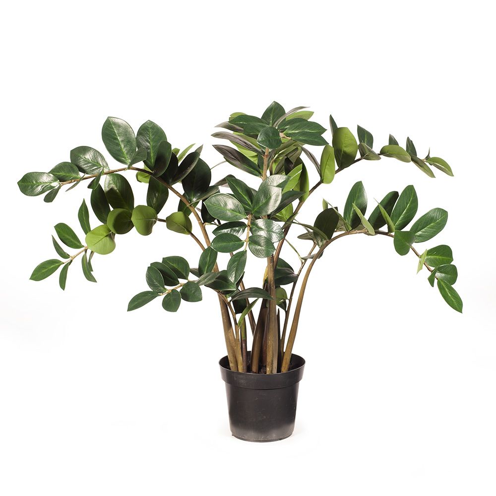Artificial zanzibar gem ZZ plant 92cm
