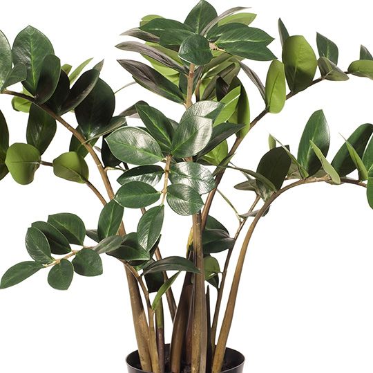 Artificial zanzibar gem ZZ plant 92cm – view 2