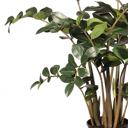 Artificial zanzibar gem ZZ plant 122cm – view 2