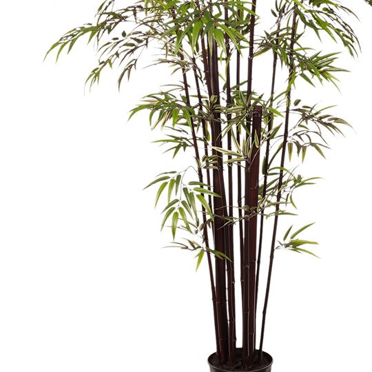 Artificial bamboo tree 213cm with black canes – view 2