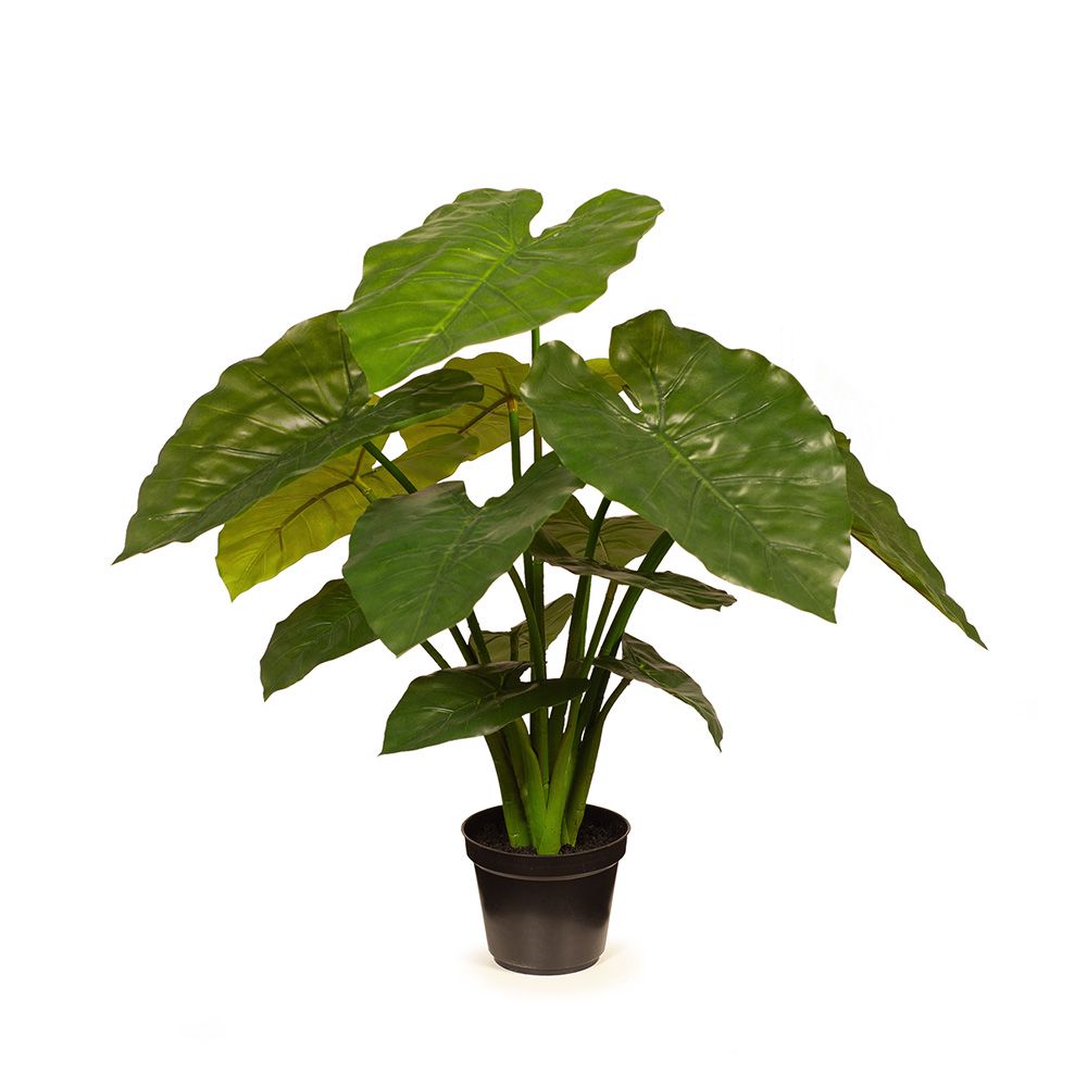 Artificial taro plant 56cm