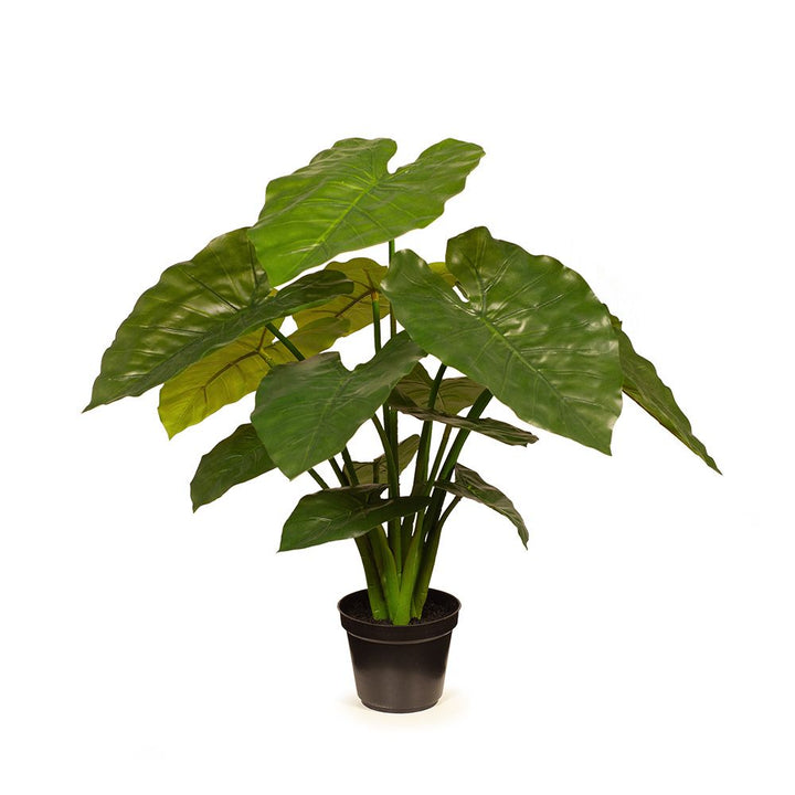Artificial taro plant 56cm