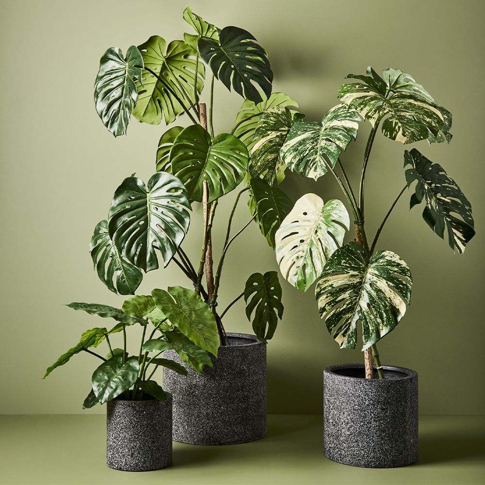 Artificial taro plant 56cm – view 3