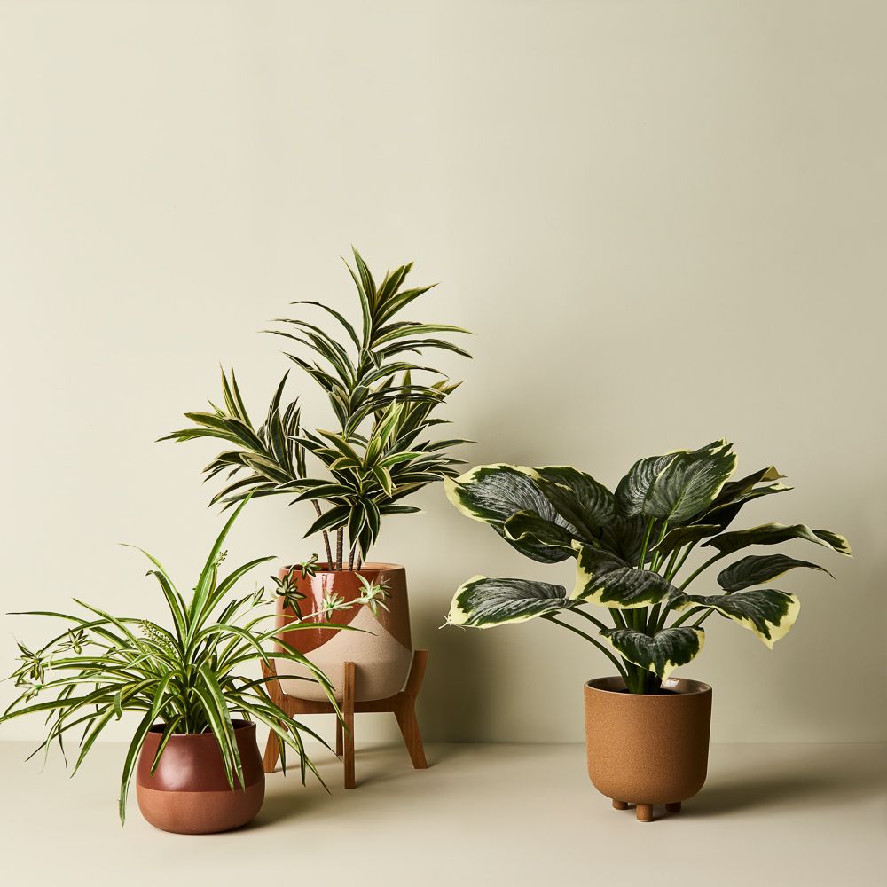 Artificial green and white spider plant in pot 40cm – view 3
