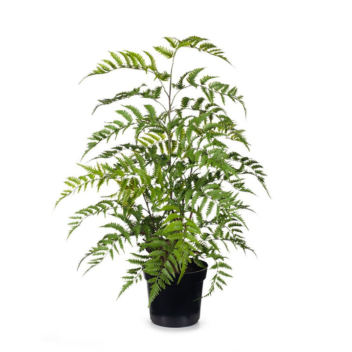 Artificial cinnamon fern plant 96cm