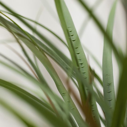 Artificial grey-green grass plant 59cm – view 2