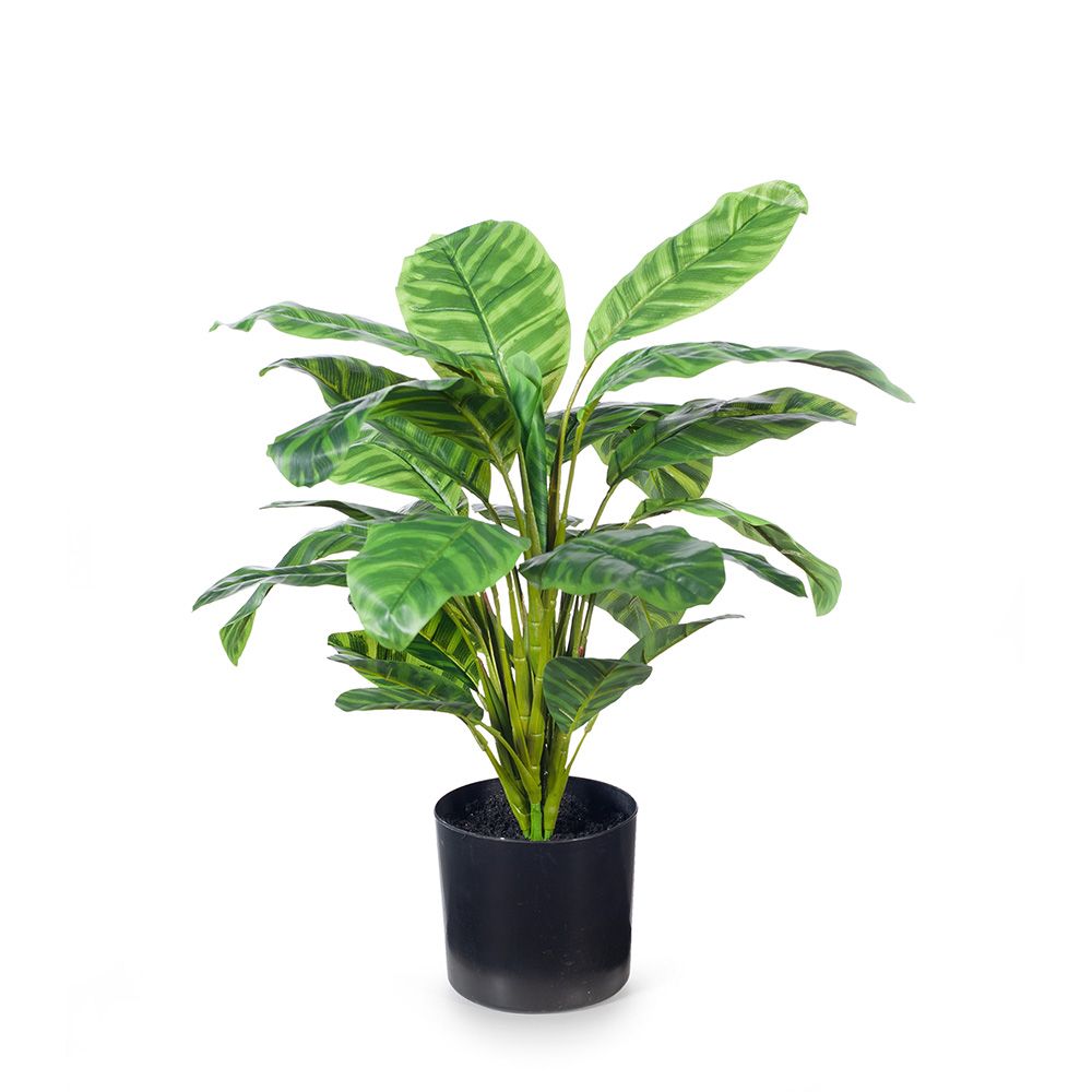 Artificial calathea plant 50cm, green