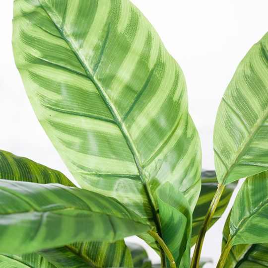 Artificial calathea plant 50cm, green – view 2