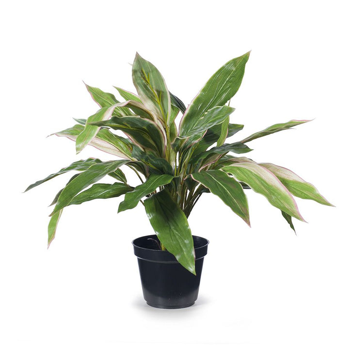Small artificial cordyline plant 40cm, green and pink