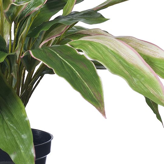 Small artificial cordyline plant 40cm, green and pink – view 2
