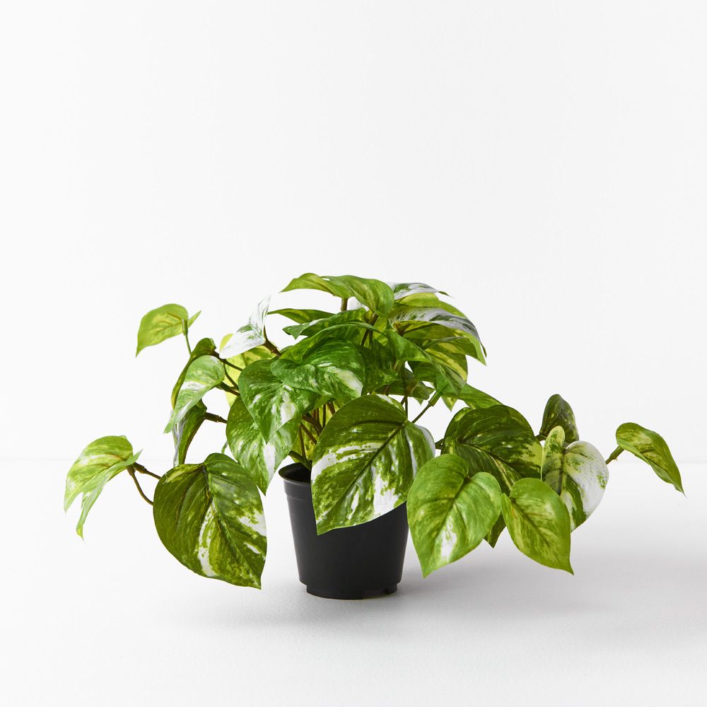 Small artificial marble pothos in pot 20cm
