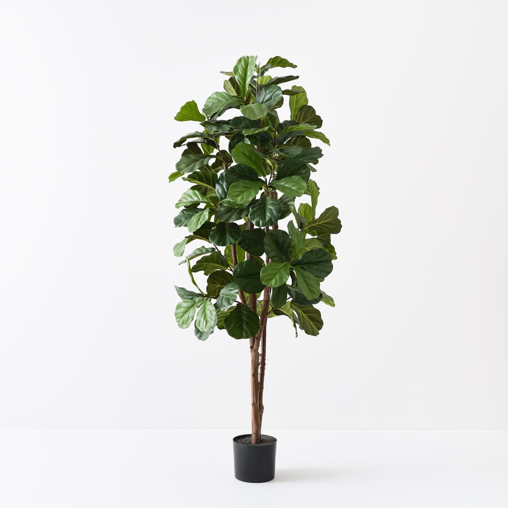 Artificial fiddle leaf fig tree 183cm