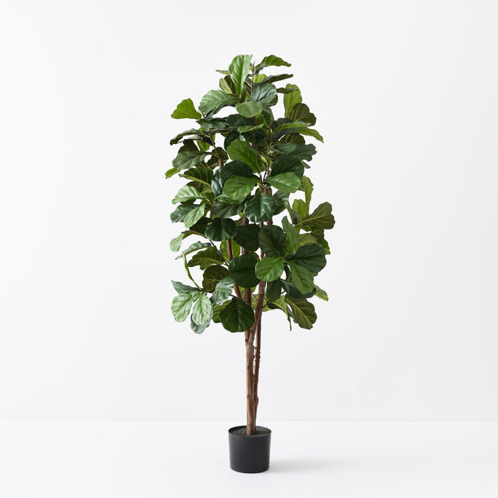 Artificial fiddle leaf fig tree 183cm