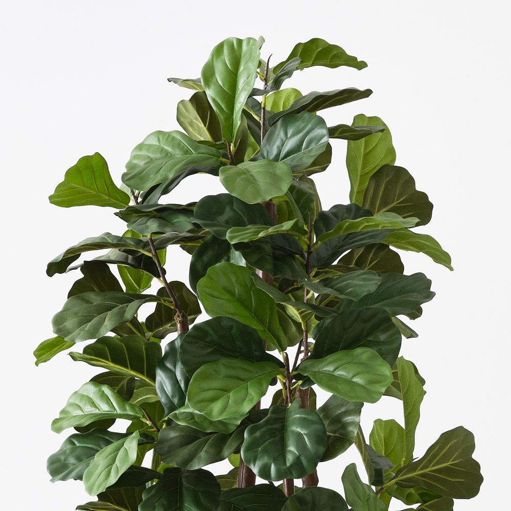 Artificial fiddle leaf fig tree 183cm – view 2