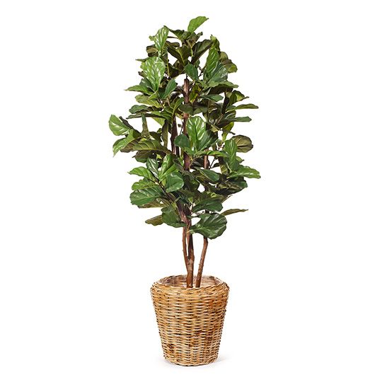 Artificial fiddle leaf fig tree 183cm – view 4