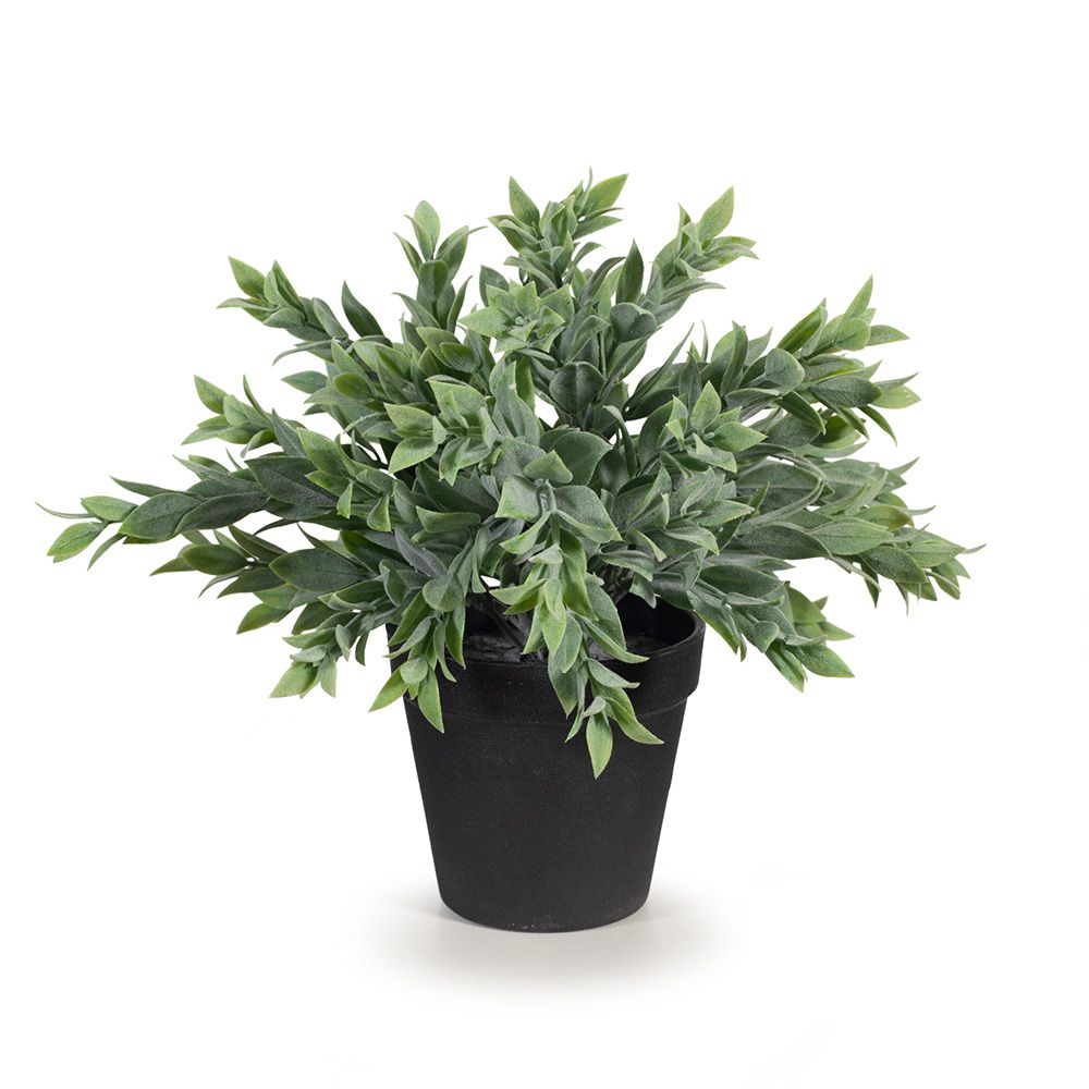 Small artificial ruscus bush in pot 25cm, grey-green