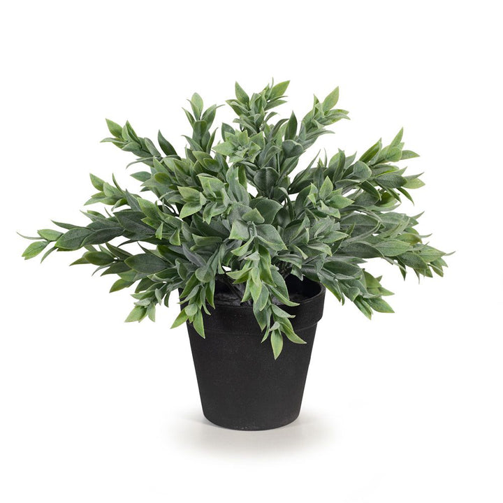 Small artificial ruscus bush in pot 25cm, grey-green