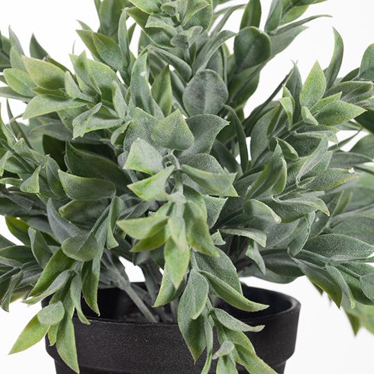 Small artificial ruscus bush in pot 25cm, grey-green – view 2