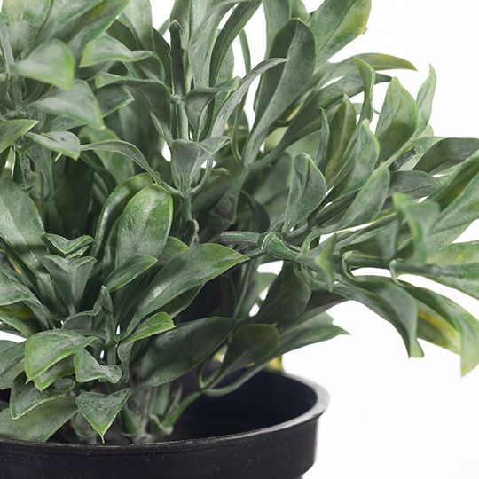 Small artificial grey-green jade bush in pot 18cm – view 2