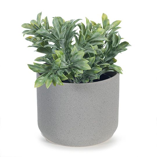 Small artificial grey-green jade bush in pot 18cm – view 3