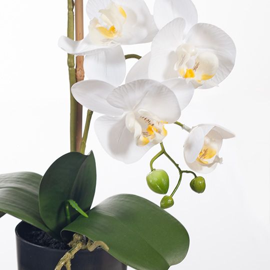 Artificial white phalaenopsis orchid in pot 55cm – view 2