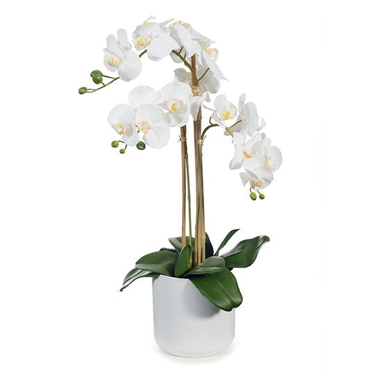 Artificial white phalaenopsis orchid in pot 61cm – view 2