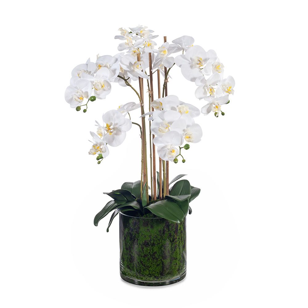Artificial white phalaenopsis orchid in glass vase 70cm