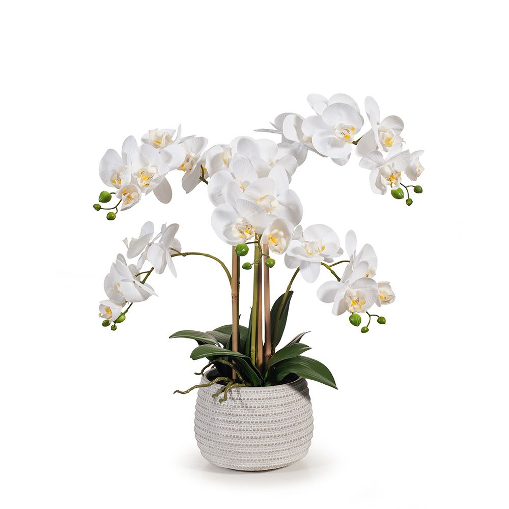Artificial white phalaenopsis orchid in clay pot 53cm