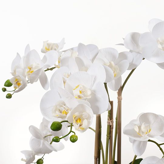Artificial white phalaenopsis orchid in clay pot 53cm – view 2