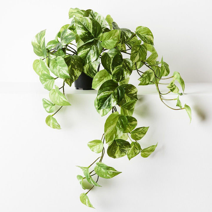 Artificial marble pothos hanging bush in pot 64cm