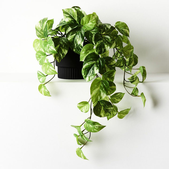 Artificial marble pothos hanging bush in pot 64cm – view 3