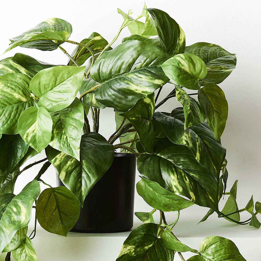 Artificial variegated pothos hanging bush in pot 72cm – view 2