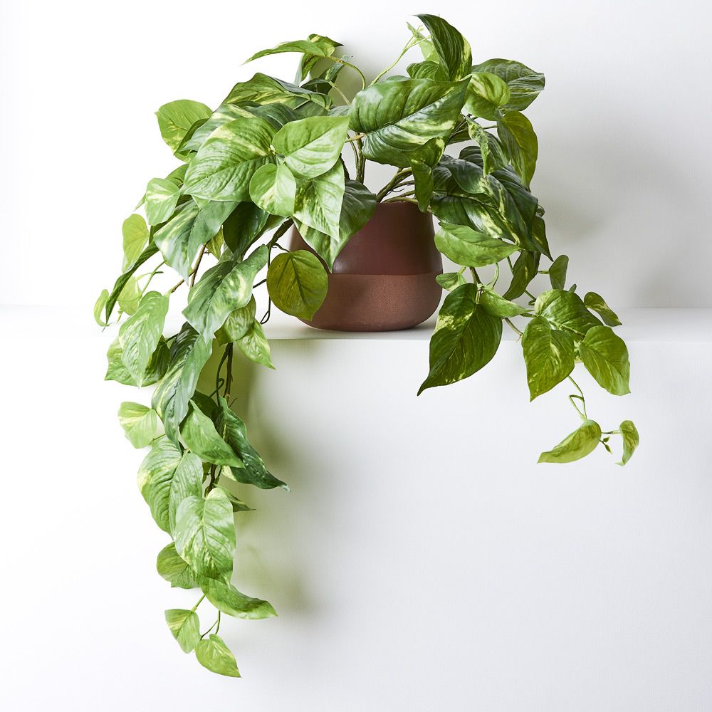 Artificial variegated pothos hanging bush in pot 72cm – view 3