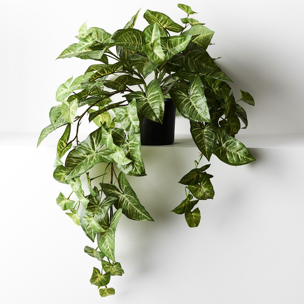 Artificial syngonium hanging bush in pot 72cm