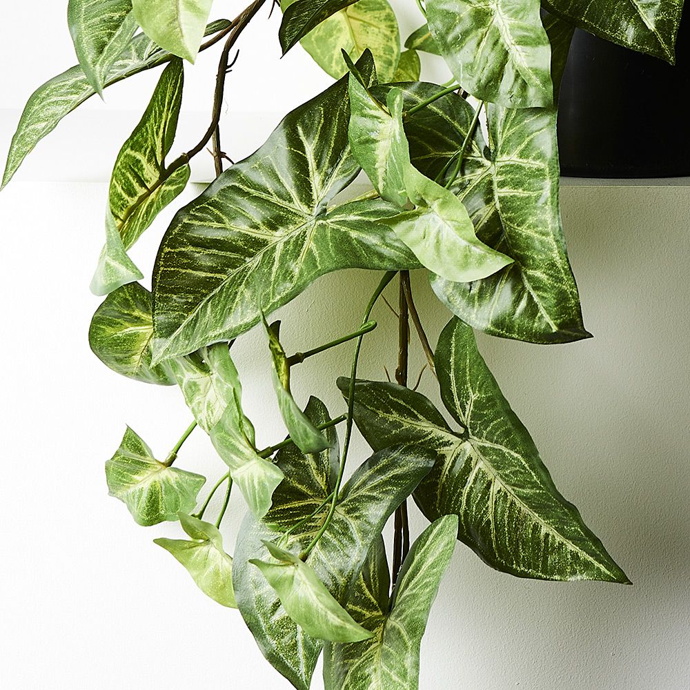 Artificial syngonium hanging bush in pot 72cm – view 2