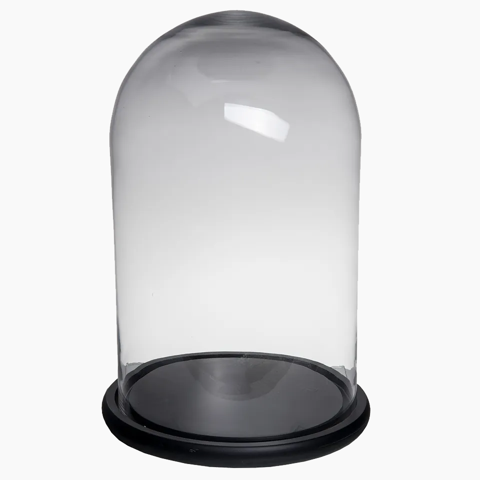Glass Dome Tall & Wide