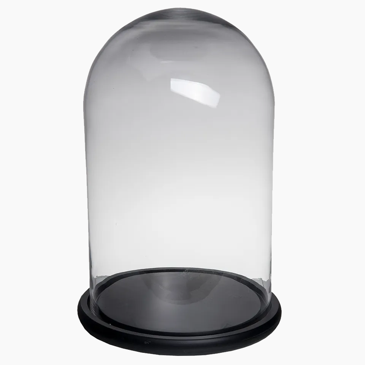 Glass Dome Tall & Wide