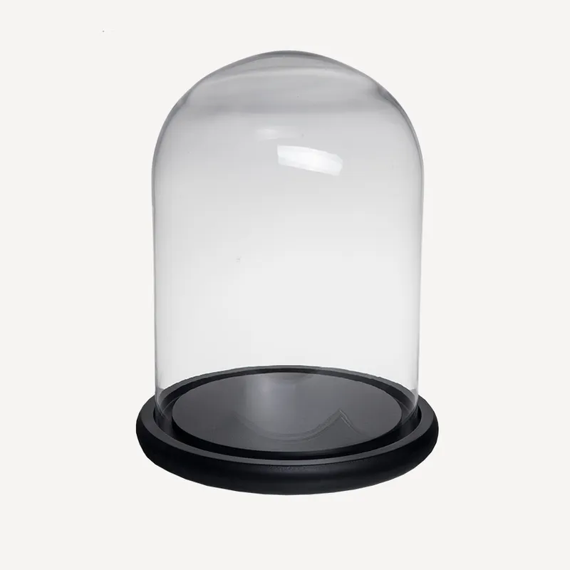 Glass Dome Medium