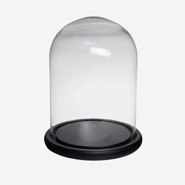Glass Dome Medium