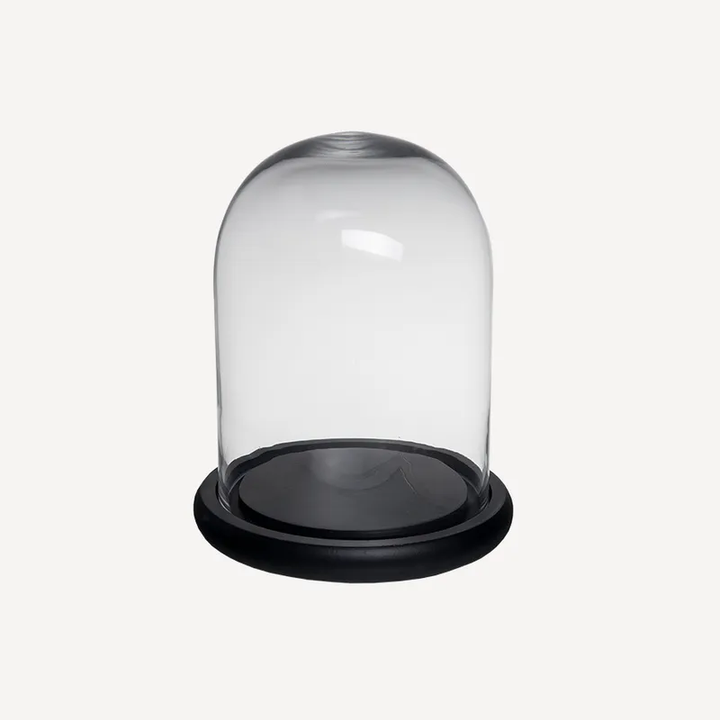 Glass Dome Small