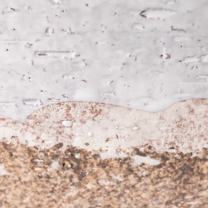 Pebbles Terracotta Bowl