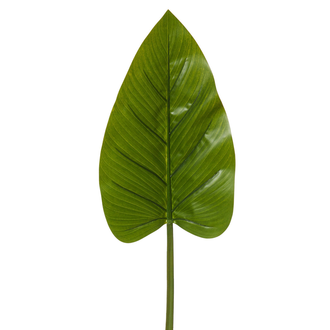 Kingdom Leaf