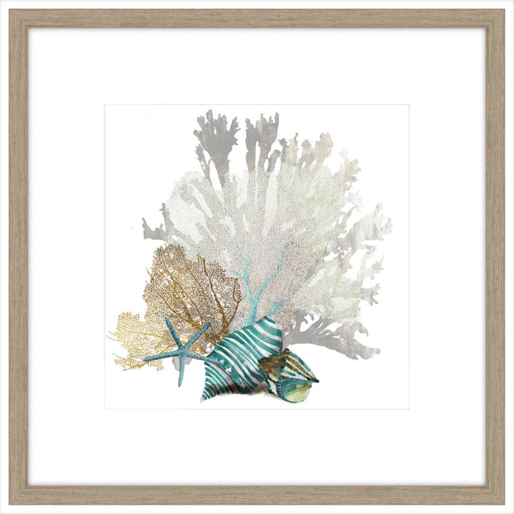 Coral I
