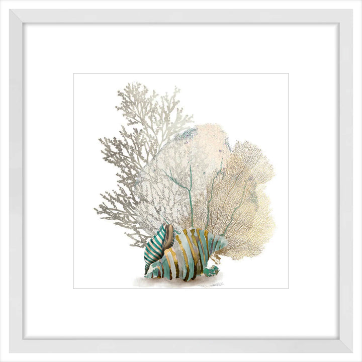 Coral II