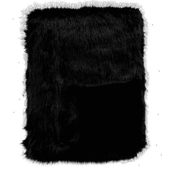 Black Fox Faux Fur Cushion rect
